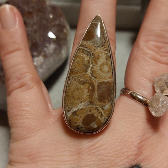 Gigantic Fossil Coral Statement Ring - Picture 4 of 8